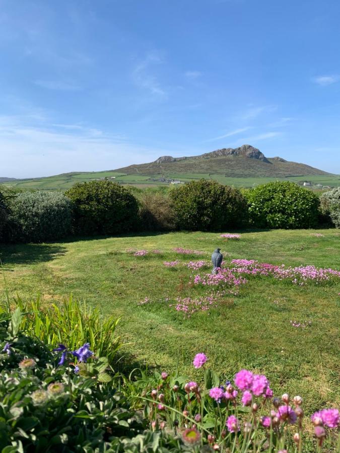 Craig-Y-Mor Suites With Sea Views Whitesands Bay St Davids Eksteriør billede