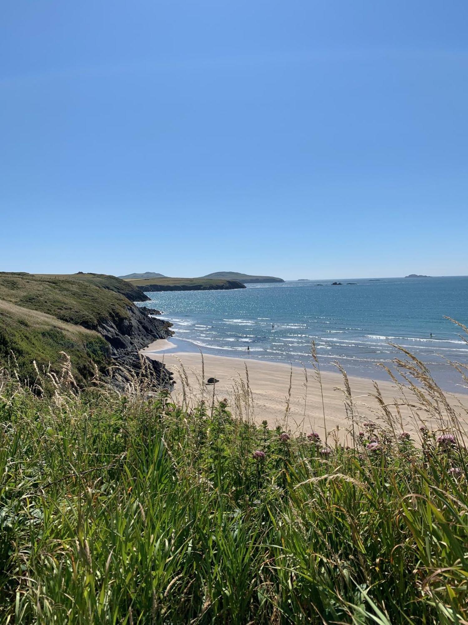 Craig-Y-Mor Suites With Sea Views Whitesands Bay St Davids Eksteriør billede